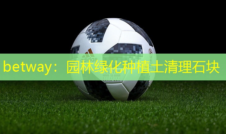 betway：园林绿化种植土清理石块