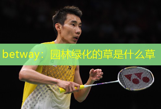 betway：园林绿化的草是什么草