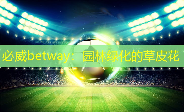 必威betway：园林绿化的草皮花