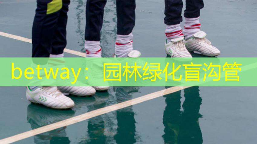 betway：园林绿化盲沟管