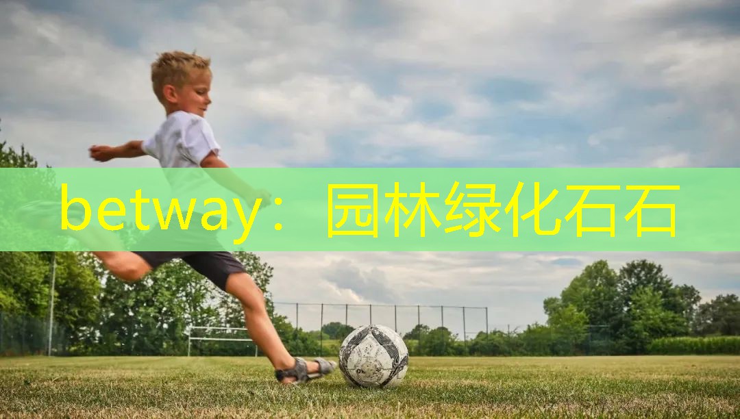 betway：园林绿化石石