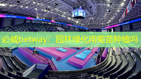 必威betway：园林绿化用菊苗种植吗