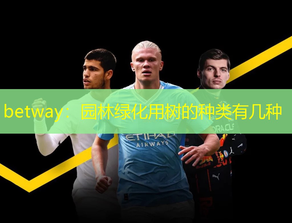 betway：园林绿化用树的种类有几种