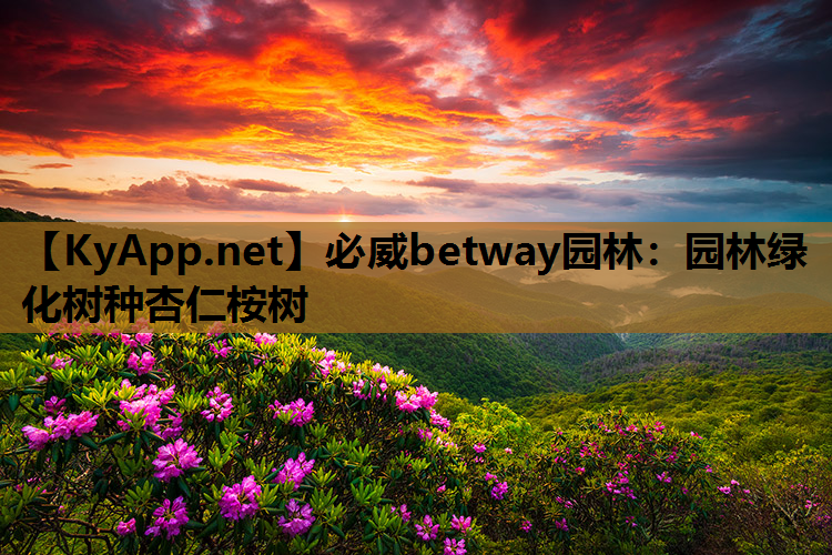 必威betway园林：园林绿化树种杏仁桉树