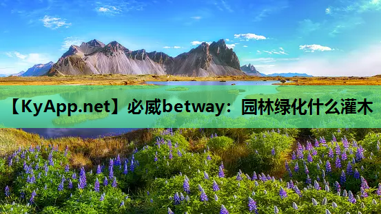 必威betway：园林绿化什么灌木