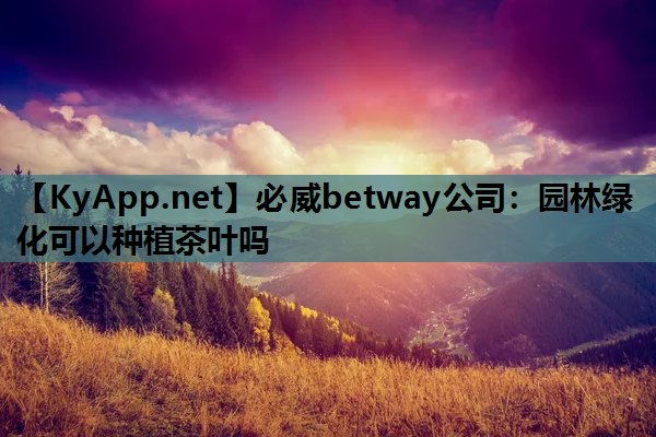 必威betway公司：园林绿化可以种植茶叶吗