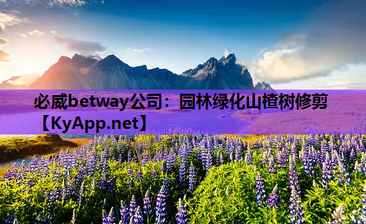 必威betway公司：园林绿化山楂树修剪