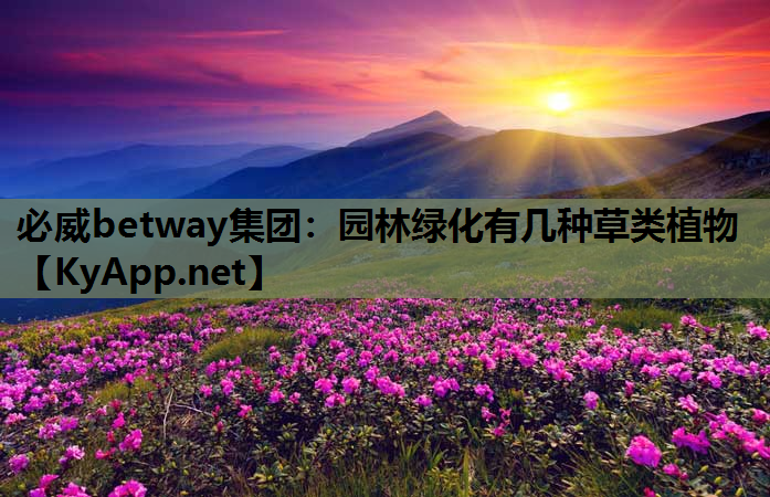 必威betway集团：园林绿化有几种草类植物