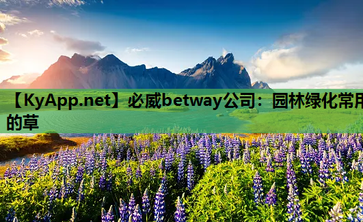 必威betway公司：园林绿化常用的草