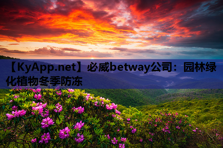 必威betway公司：园林绿化植物冬季防冻