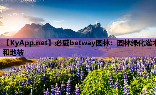 必威betway园林：园林绿化灌木和地被