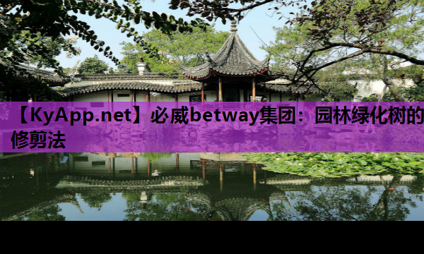 必威betway集团：园林绿化树的修剪法