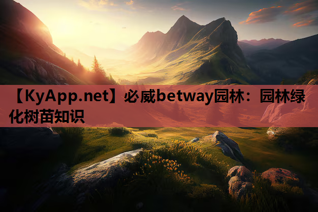 必威betway园林：园林绿化树苗知识