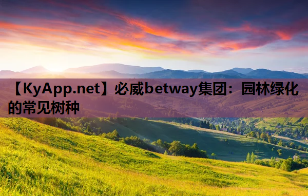 必威betway集团：园林绿化的常见树种