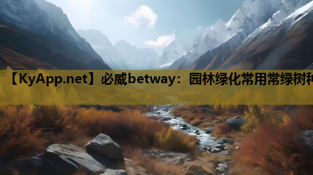 必威betway：园林绿化常用常绿树种