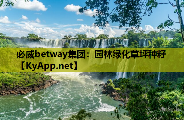 必威betway集团：园林绿化草坪种籽