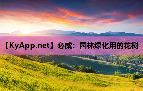 必威：园林绿化用的花树