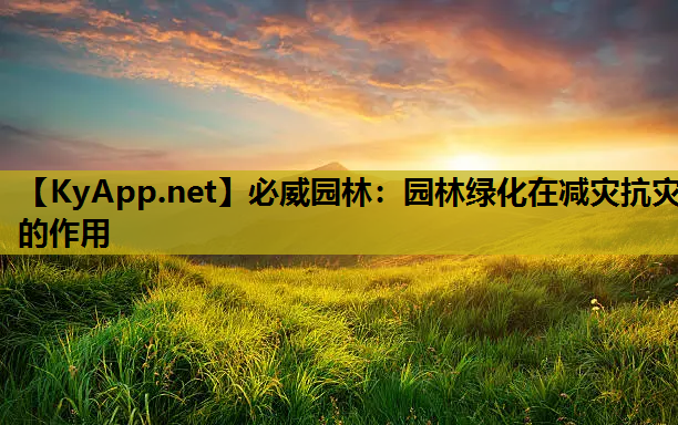 必威园林：园林绿化在减灾抗灾的作用