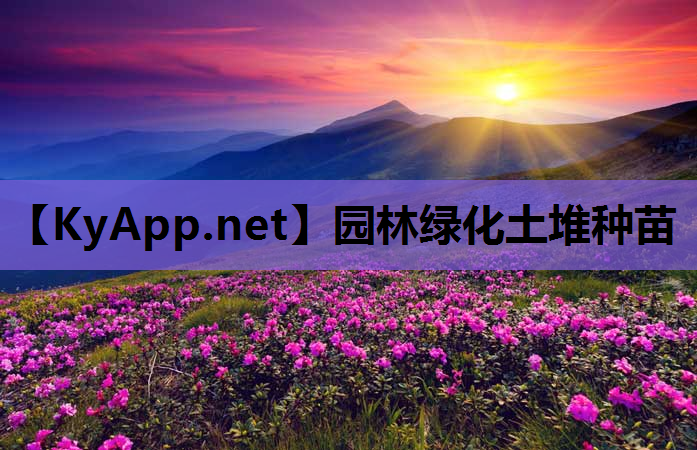 园林绿化土堆种苗