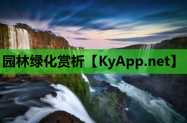 园林绿化赏析