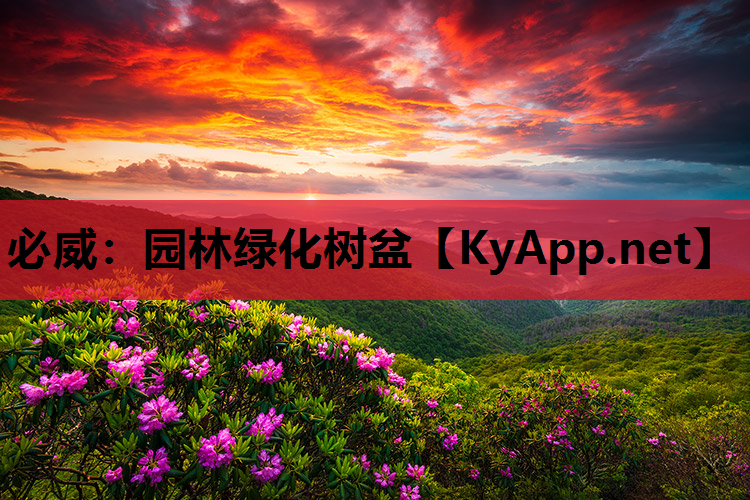 园林绿化树盆