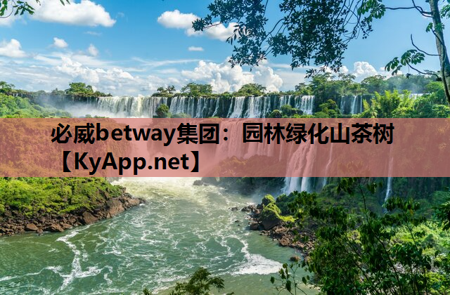园林绿化山茶树