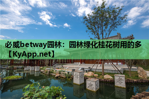 园林绿化桂花树用的多