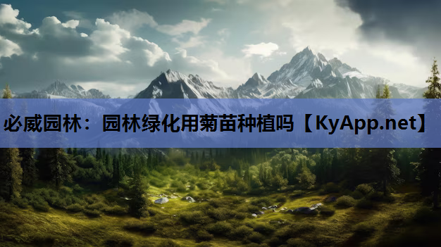 园林绿化用菊苗种植吗