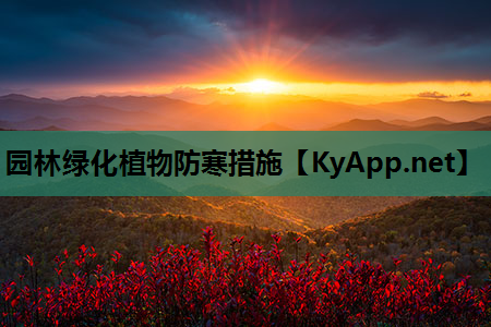 园林绿化植物防寒措施