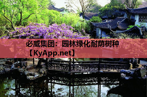 园林绿化耐荫树种