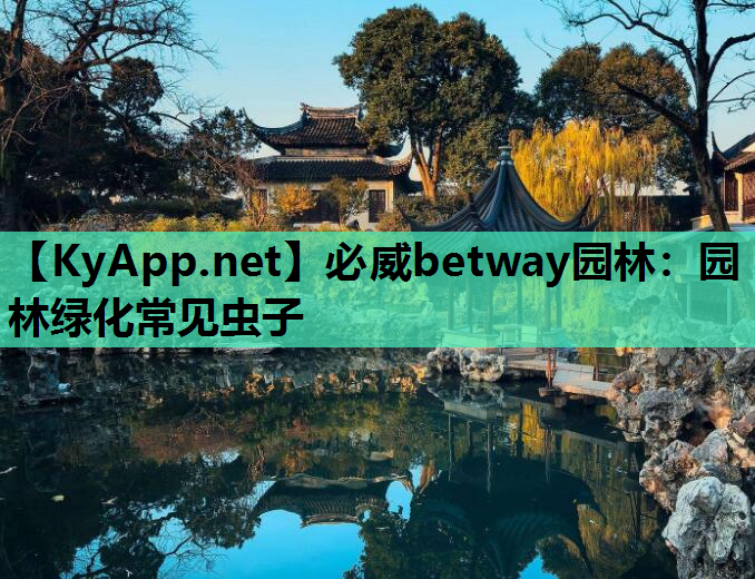 园林绿化常见虫子