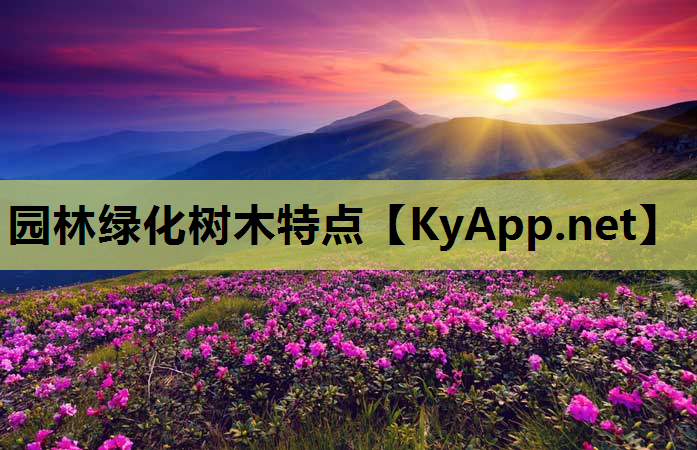 园林绿化树木特点