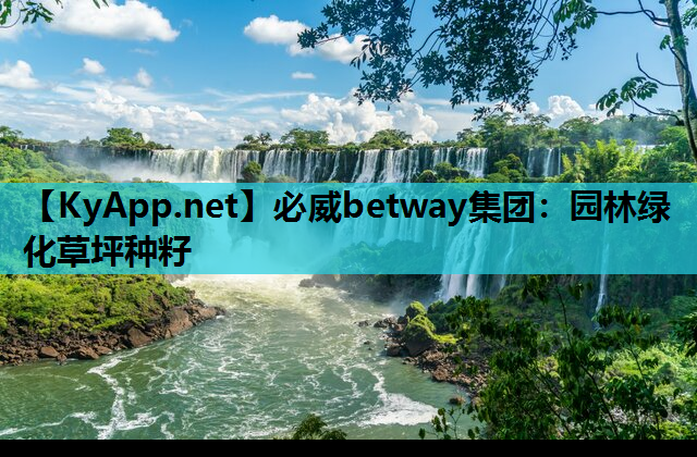 园林绿化草坪种籽