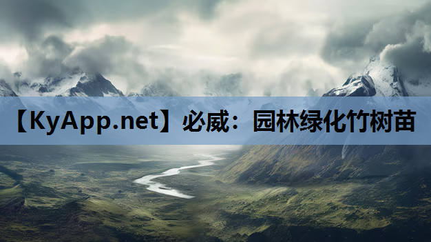 园林绿化竹树苗