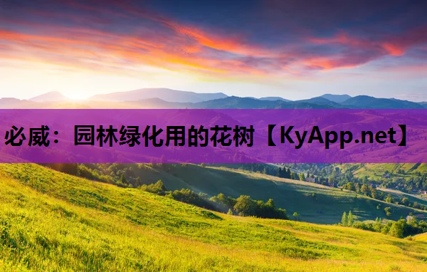 园林绿化用的花树