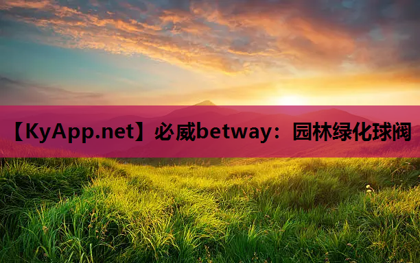 园林绿化球阀