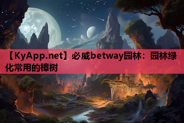 园林绿化常用的樟树