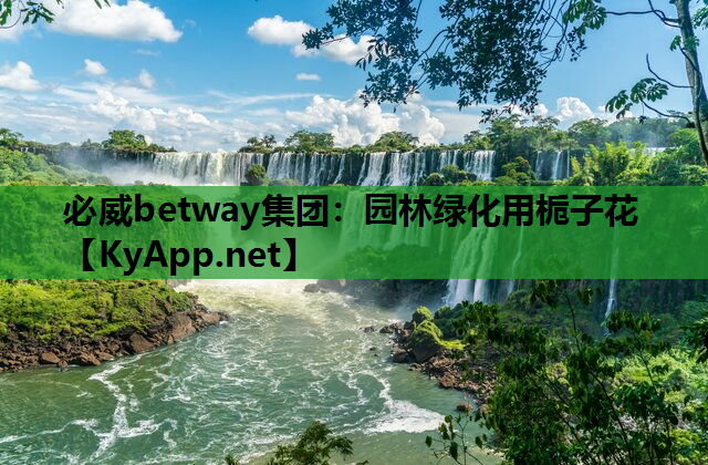园林绿化用栀子花