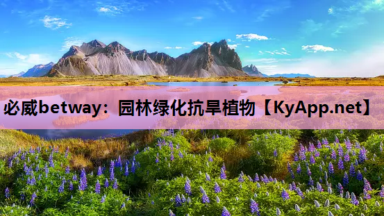 园林绿化抗旱植物