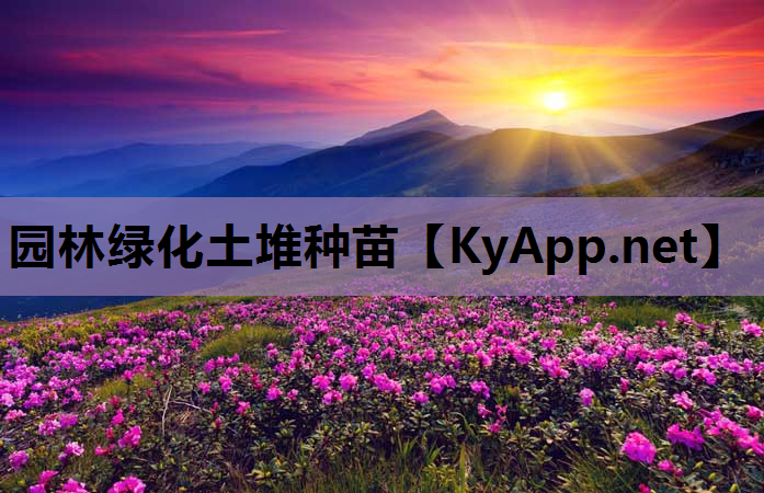 园林绿化土堆种苗