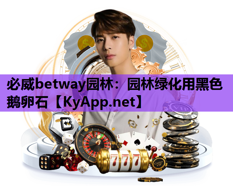 园林绿化用黑色鹅卵石