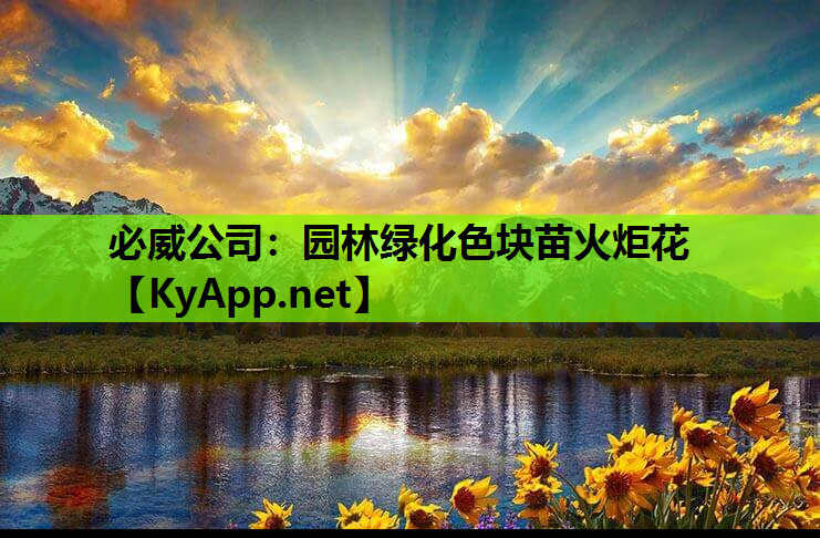 园林绿化色块苗火炬花