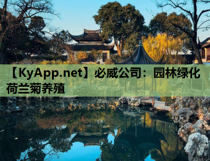 园林绿化荷兰菊养殖