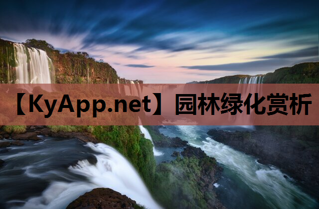 园林绿化赏析