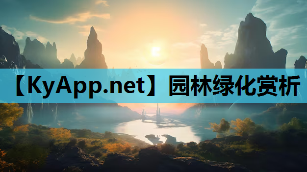 园林绿化赏析